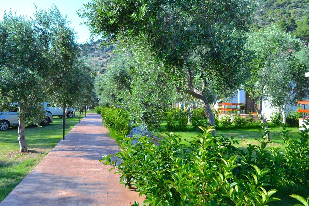 Appartamento con 2 Camere da Letto al Mare
